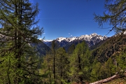 IMG_0231-hdr.jpg