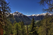 IMG_0234-hdr.jpg