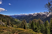 IMG_0237-hdr.jpg