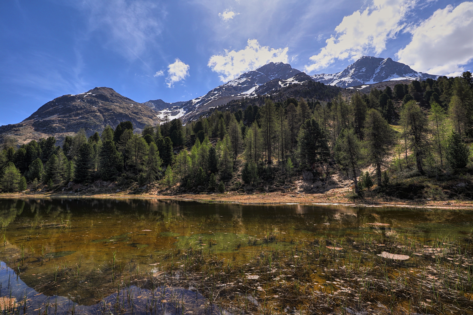 IMG_0309-hdr.jpg