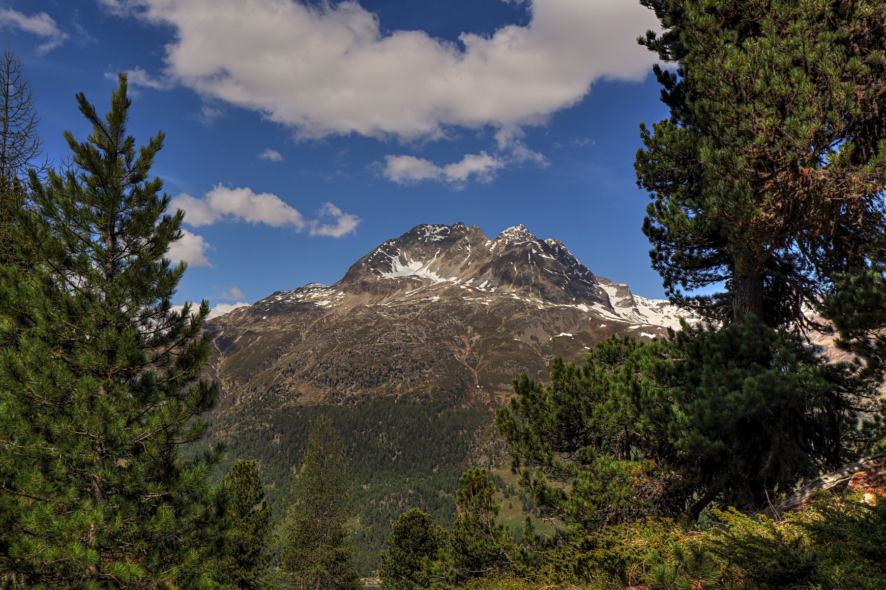 IMG_0315-hdr.jpg