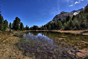 IMG_0312-hdr.jpg