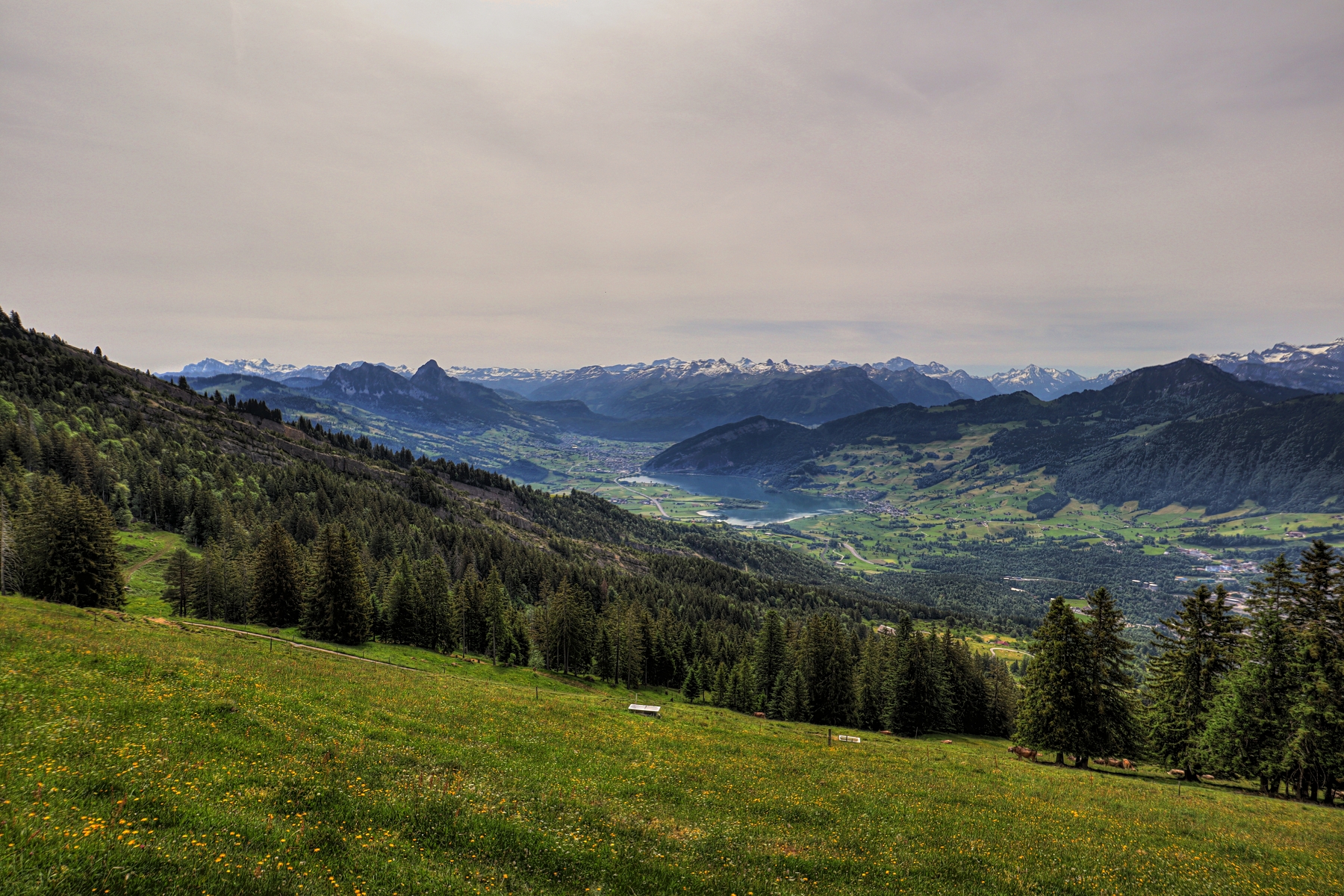 IMG_0346-hdr.jpg