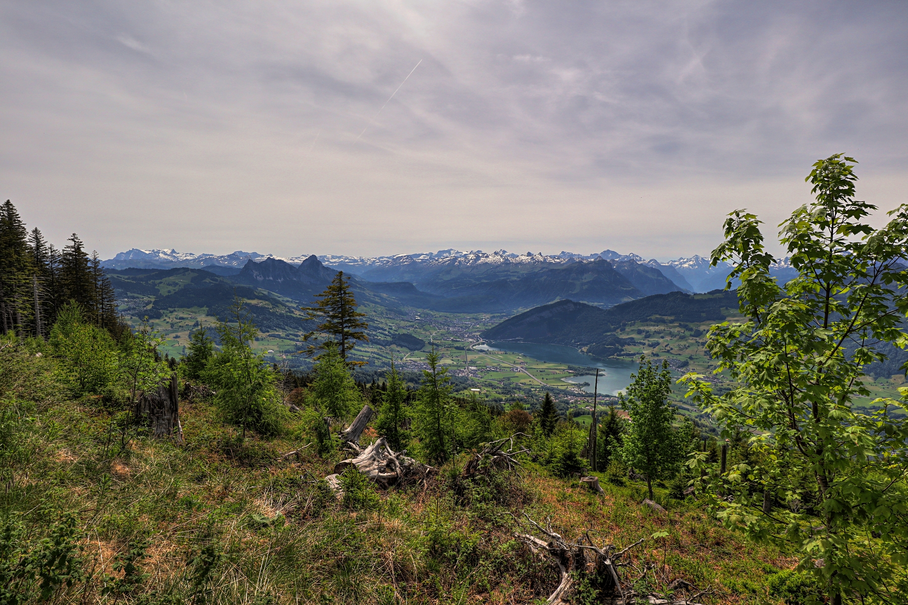 IMG_0400-hdr.jpg