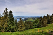 IMG_0349-hdr.jpg