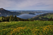 IMG_0358-hdr.jpg