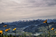 IMG_0394-hdr.jpg