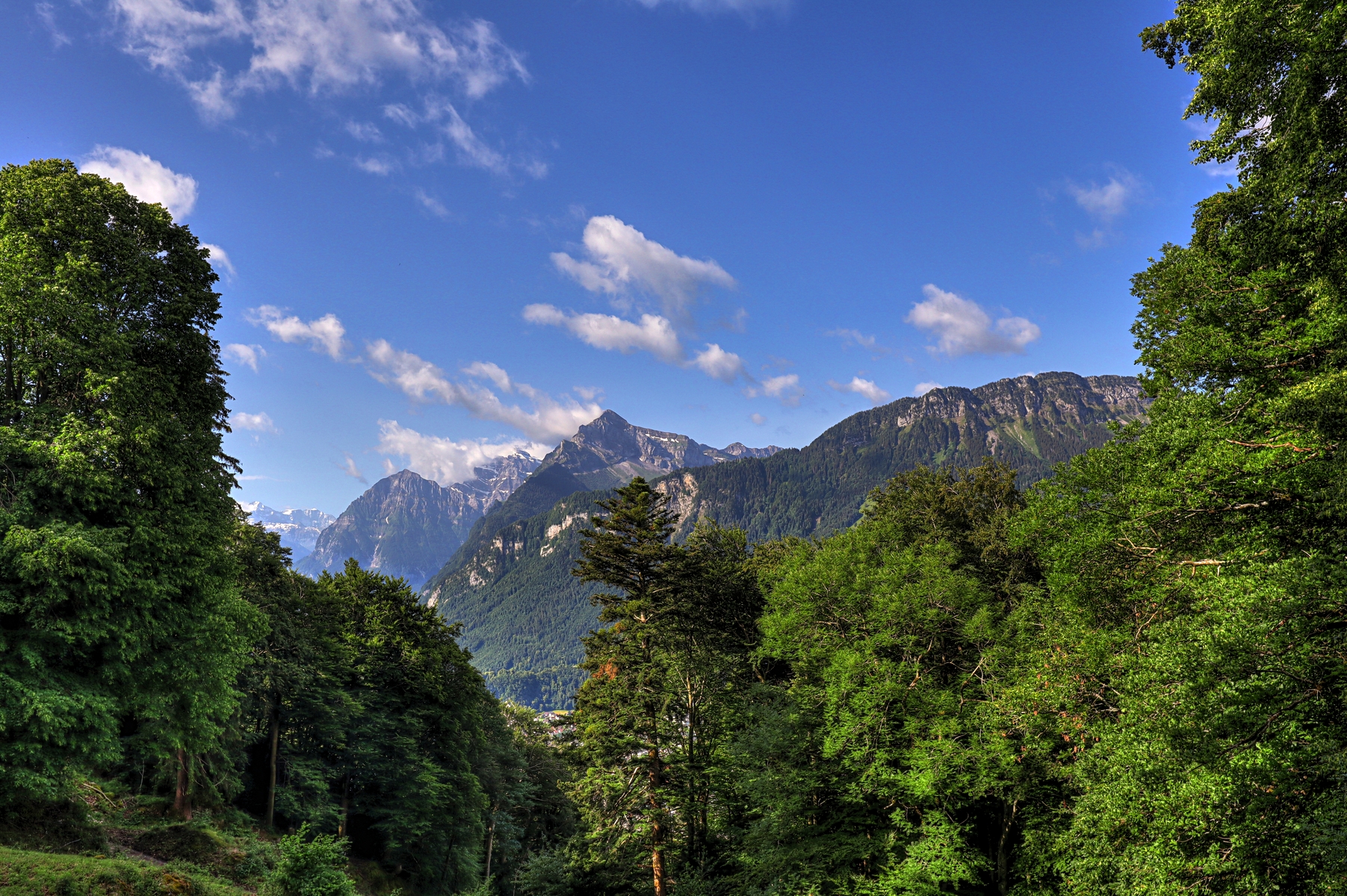 IMG_0439-hdr.jpg