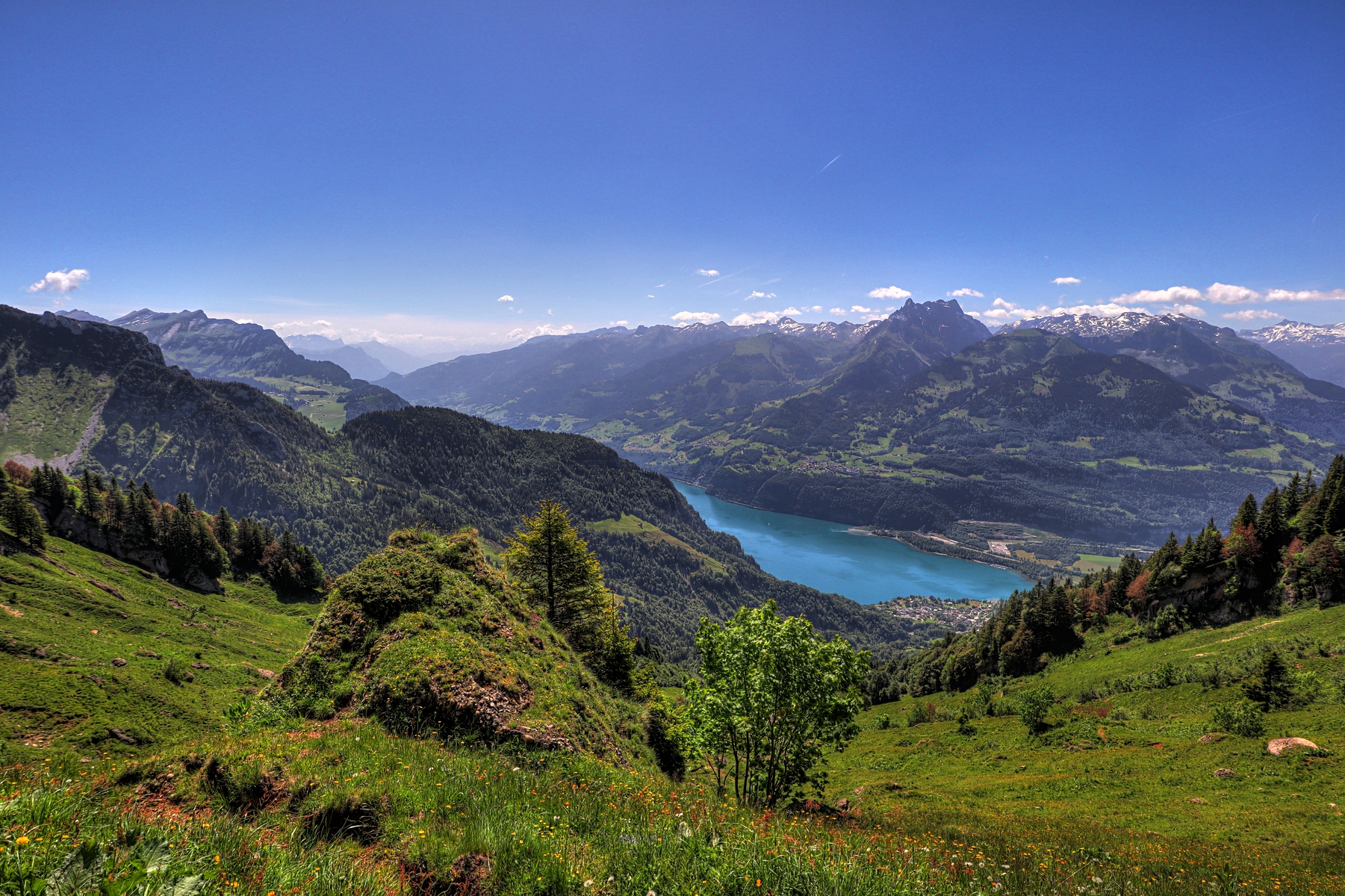 IMG_0526-hdr.jpg