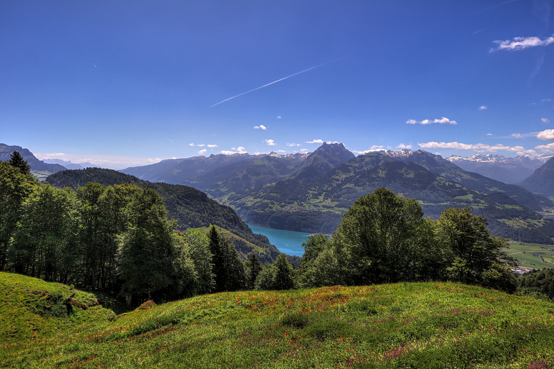 IMG_0529-hdr.jpg