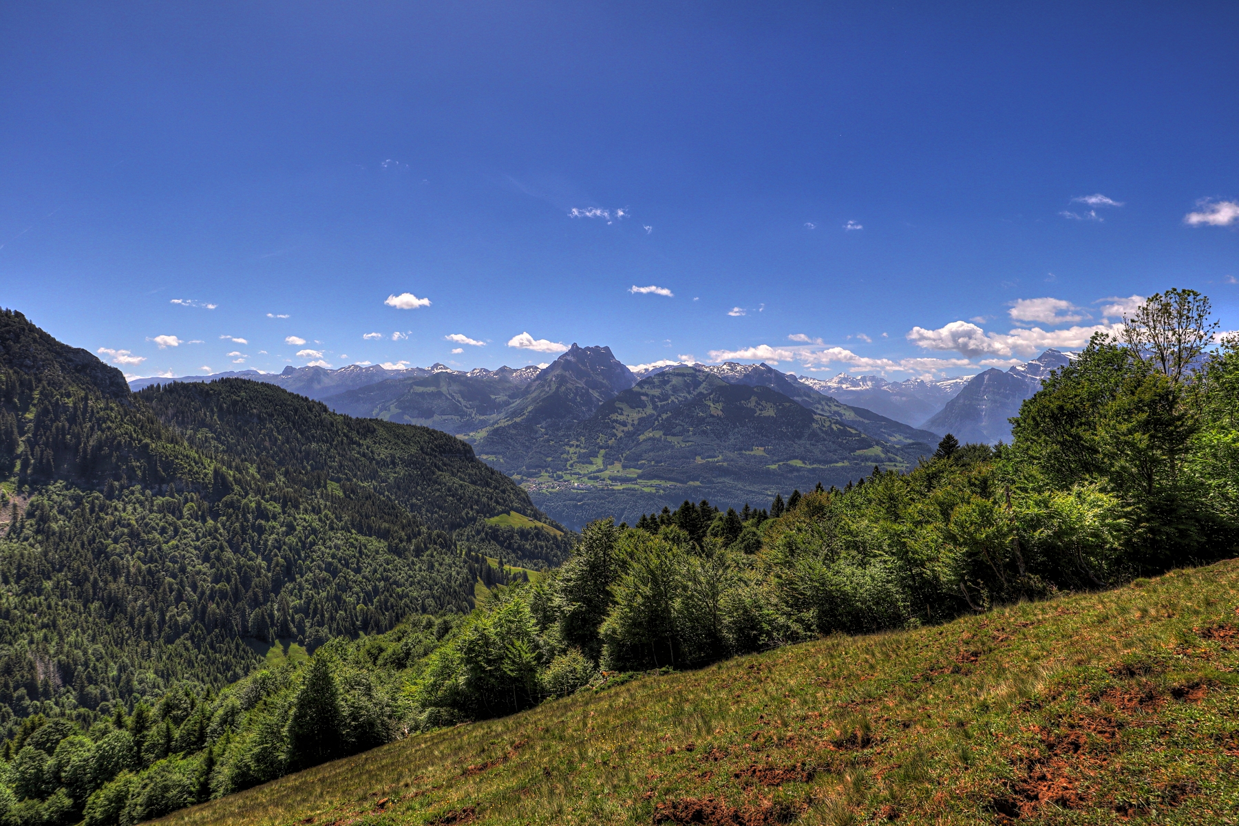 IMG_0538-hdr.jpg