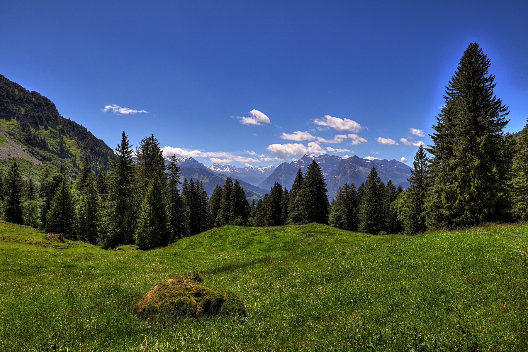 IMG_0541-hdr.jpg