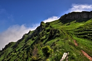 IMG_0472-hdr.jpg
