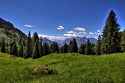 IMG_0541-hdr.jpg