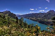 IMG_0550-hdr.jpg