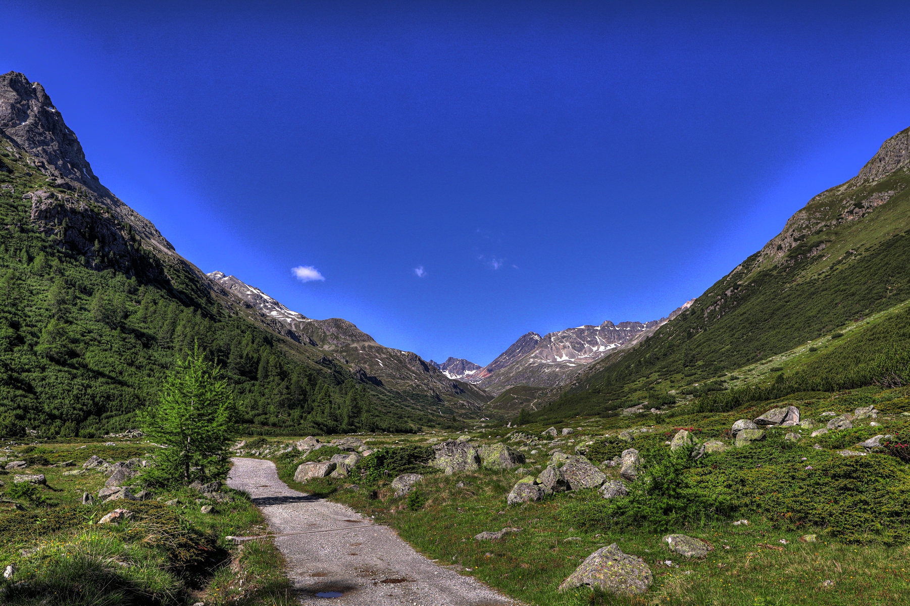 IMG_0559-hdr.jpg