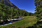IMG_0553-hdr.jpg