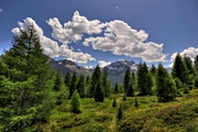 IMG_0613-hdr.jpg