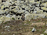 IMG_20260620_102654674.jpg