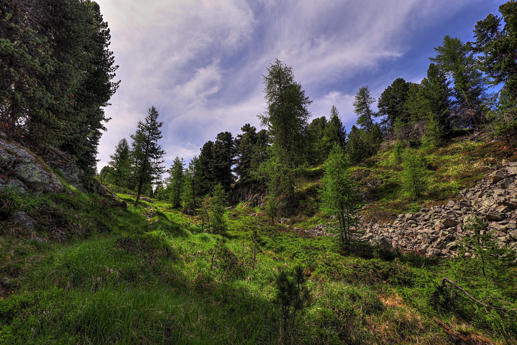 IMG_0626-hdr.jpg