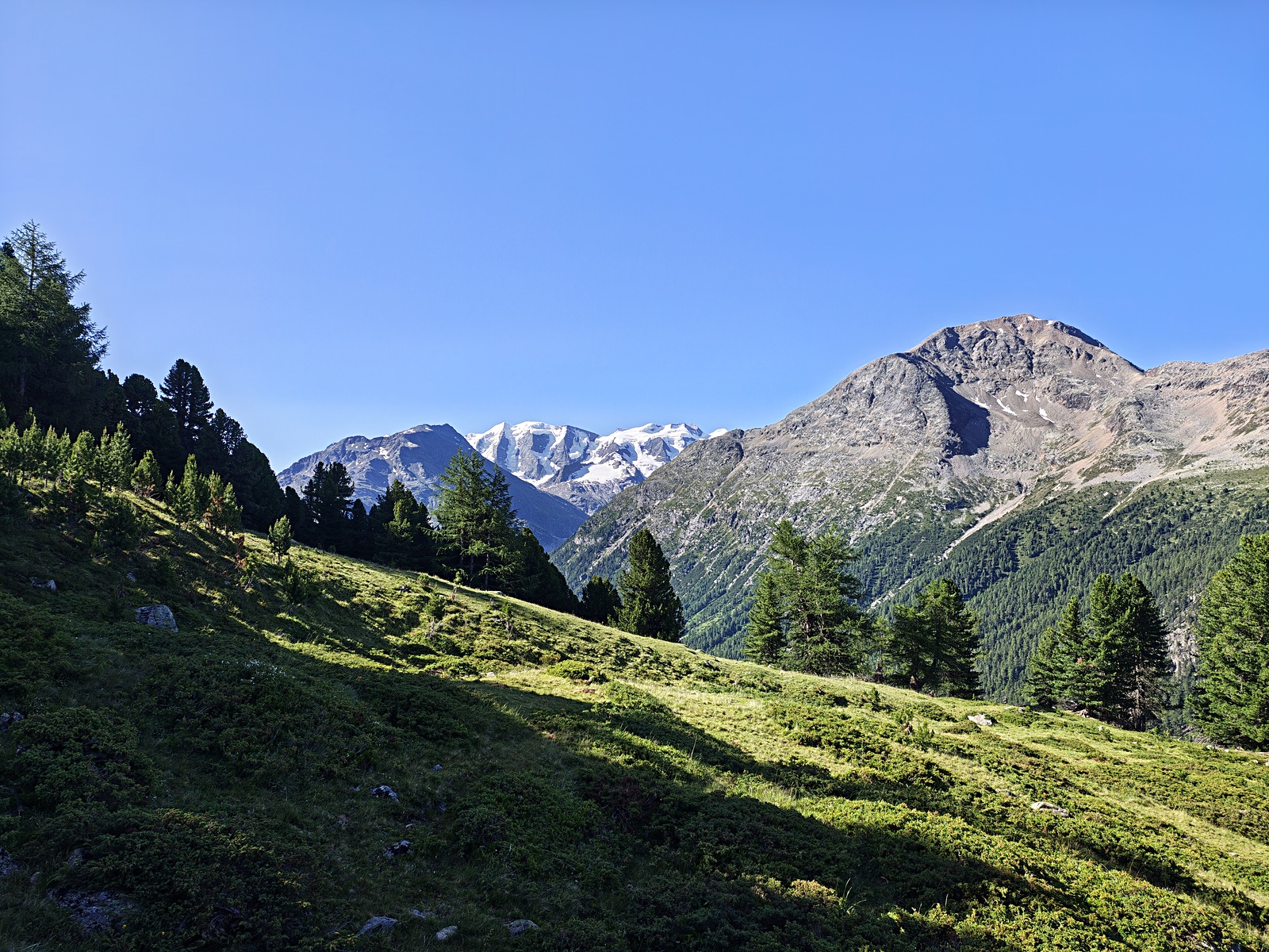 IMG_20260705_091538097_HDR.jpg