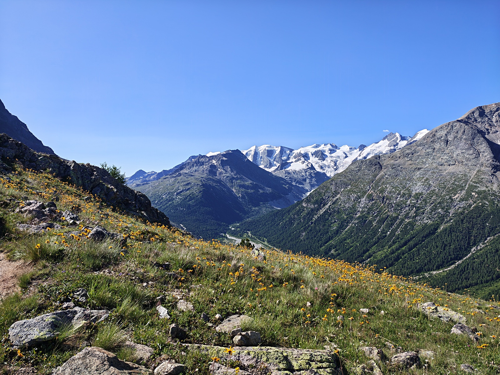 IMG_20260705_093418985_HDR.jpg