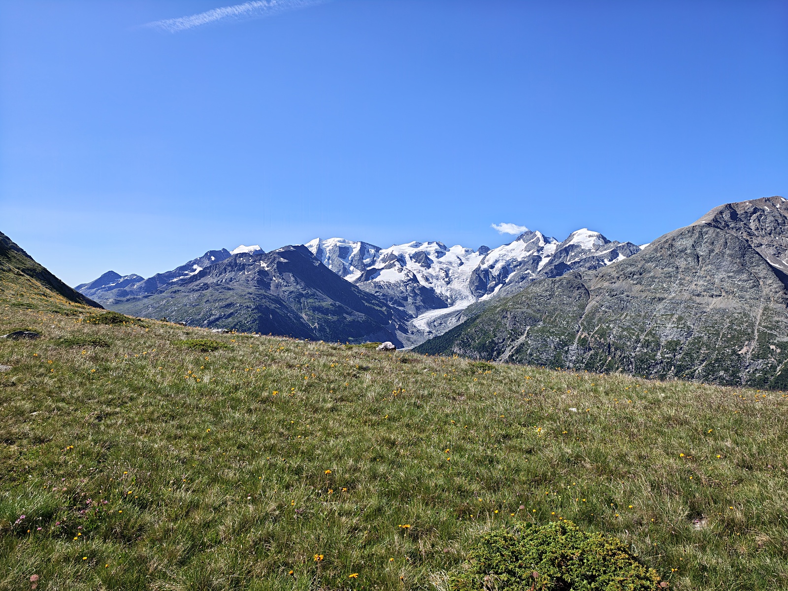 IMG_20260705_095314651_HDR.jpg