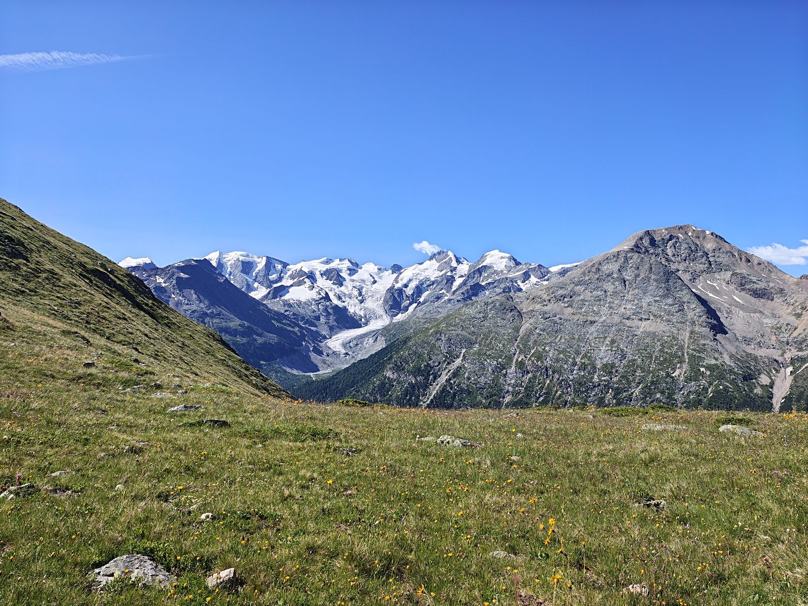 IMG_20260705_095701490_HDR.jpg