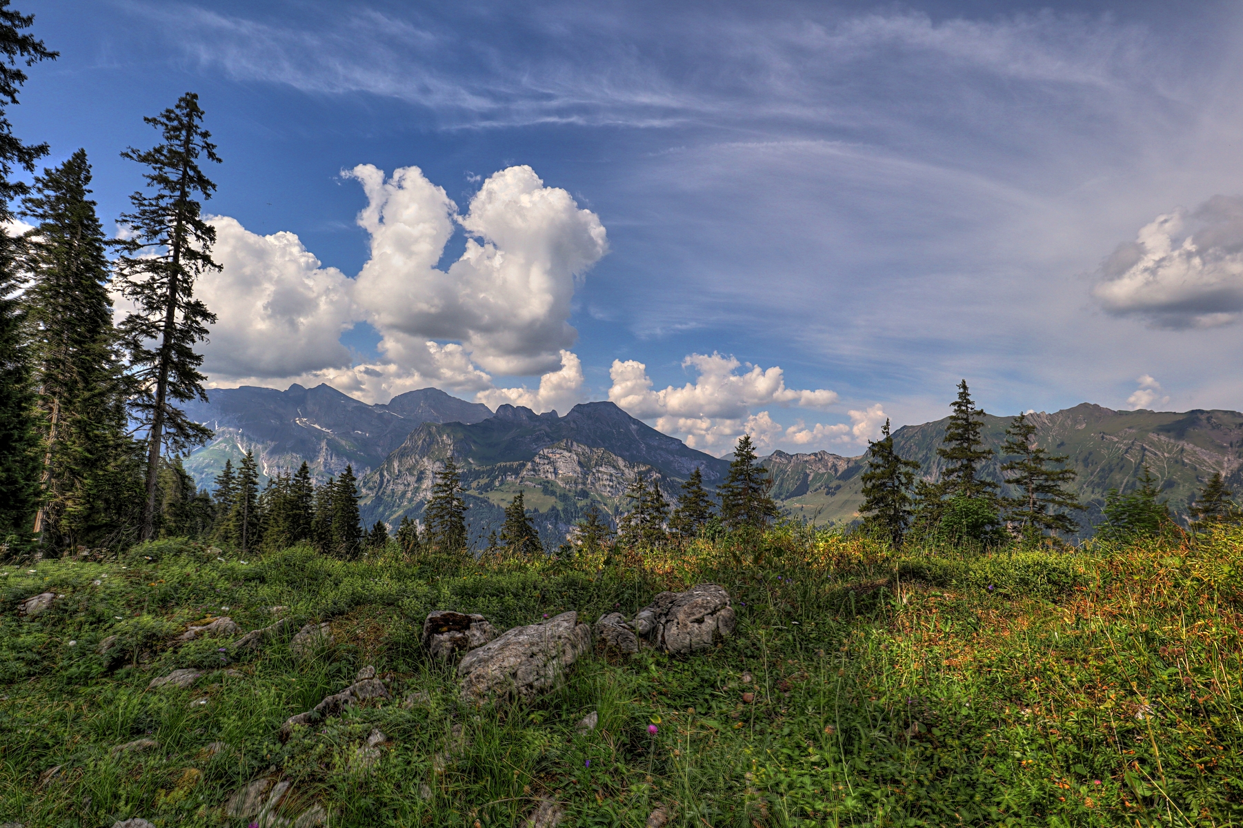 IMG_0767-hdr.jpg