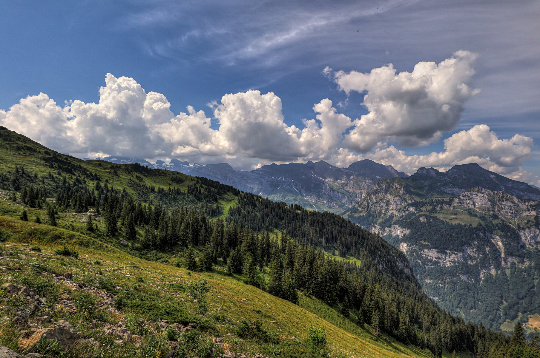IMG_0776-hdr.jpg