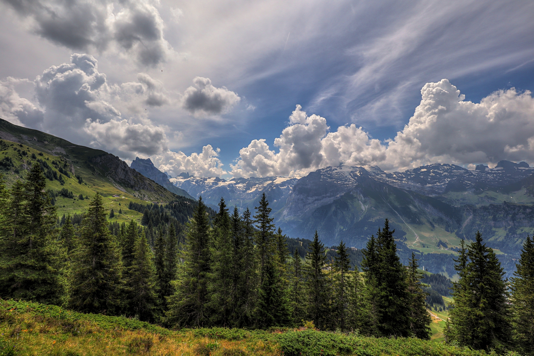 IMG_0806-hdr.jpg