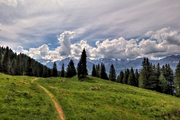 IMG_0809-hdr.jpg