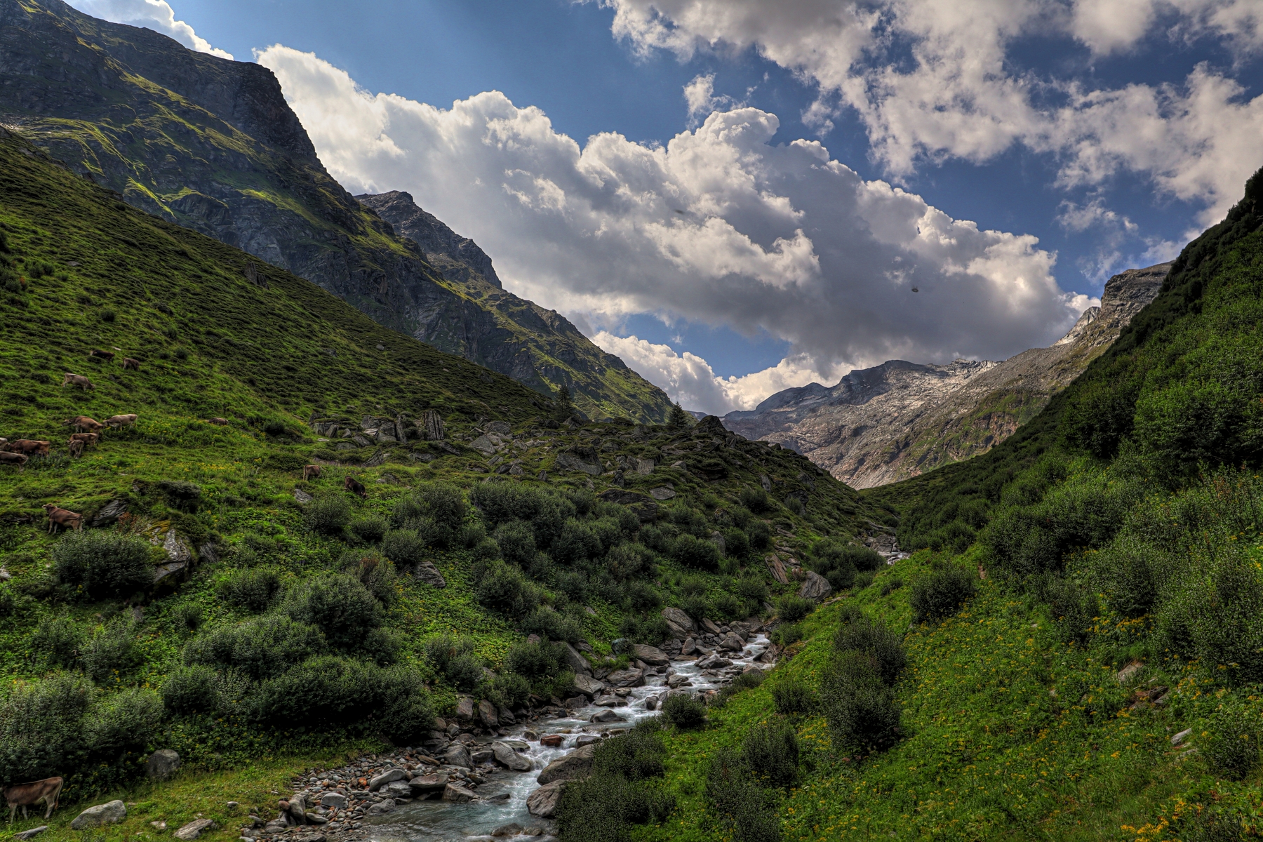 IMG_0878-hdr.jpg