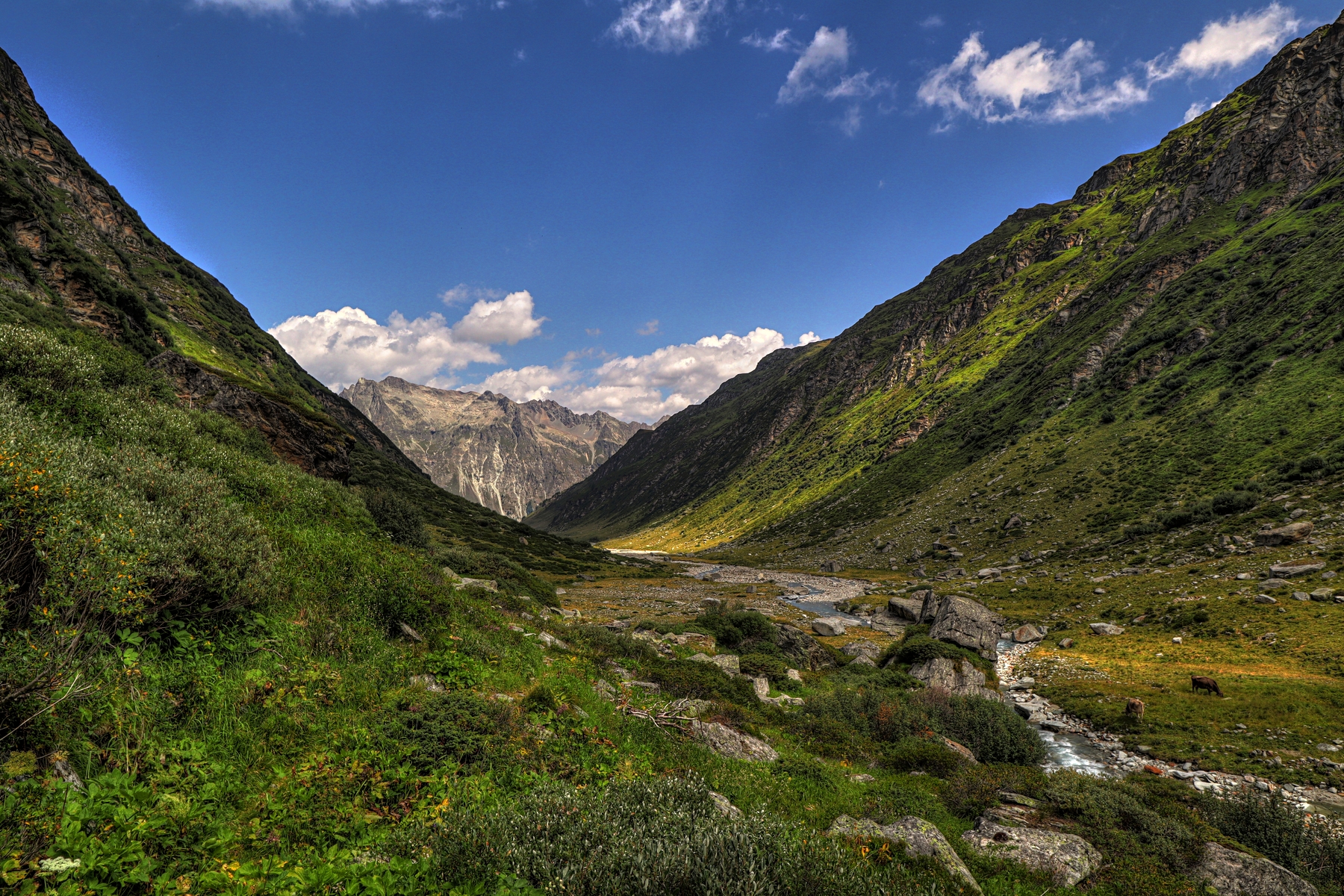 IMG_0890-hdr.jpg