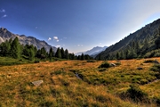 IMG_0839-hdr.jpg