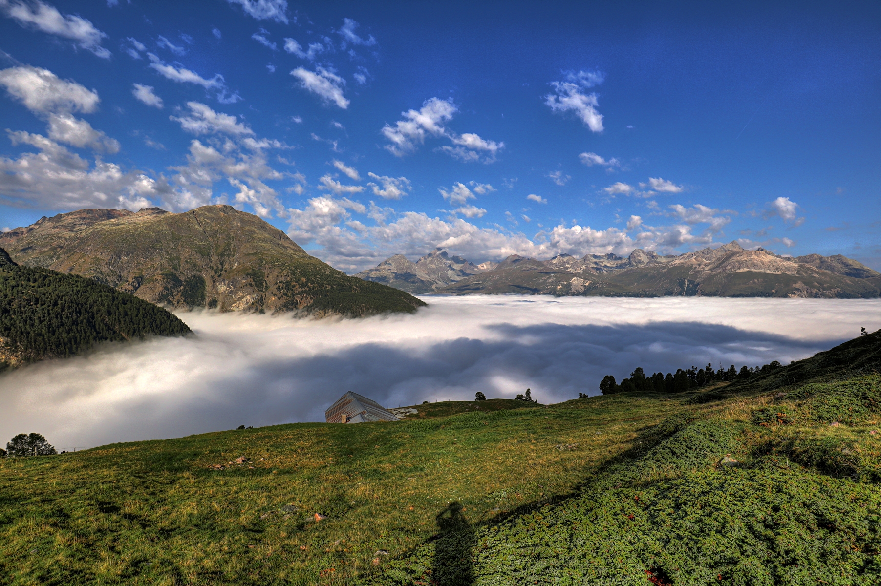 IMG_0913-hdr.jpg