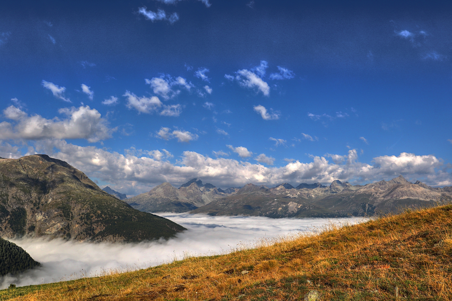 IMG_0919-hdr.jpg