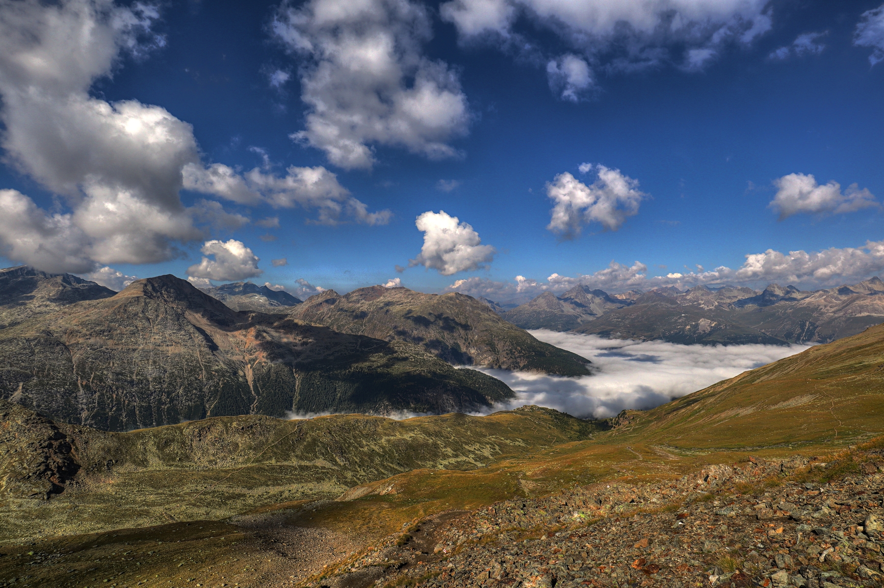 IMG_0931-hdr.jpg