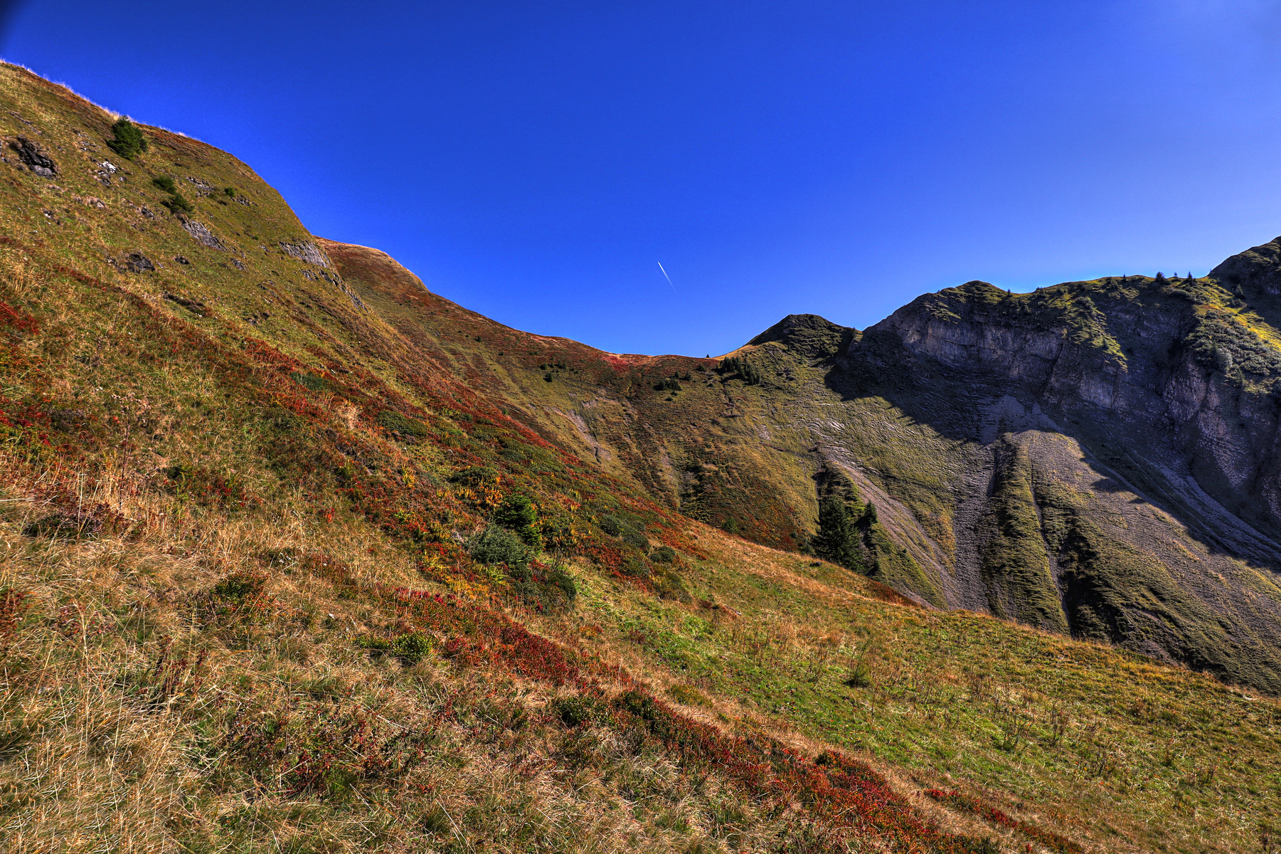 IMG_2406-hdr.jpg