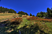 IMG_2415-hdr.jpg