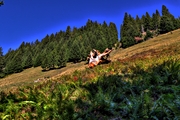 IMG_2418-hdr.jpg
