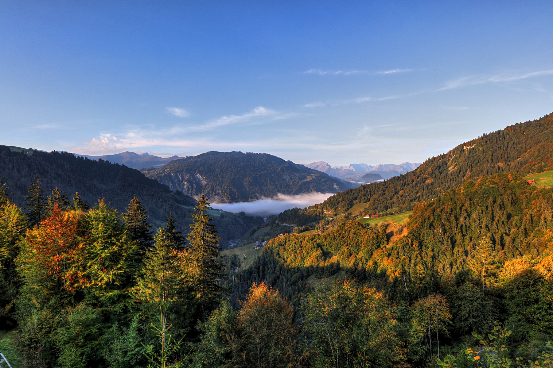 IMG_2442-hdr.jpg