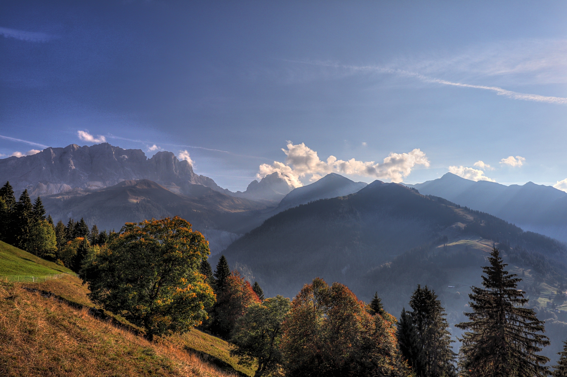 IMG_2478-hdr.jpg