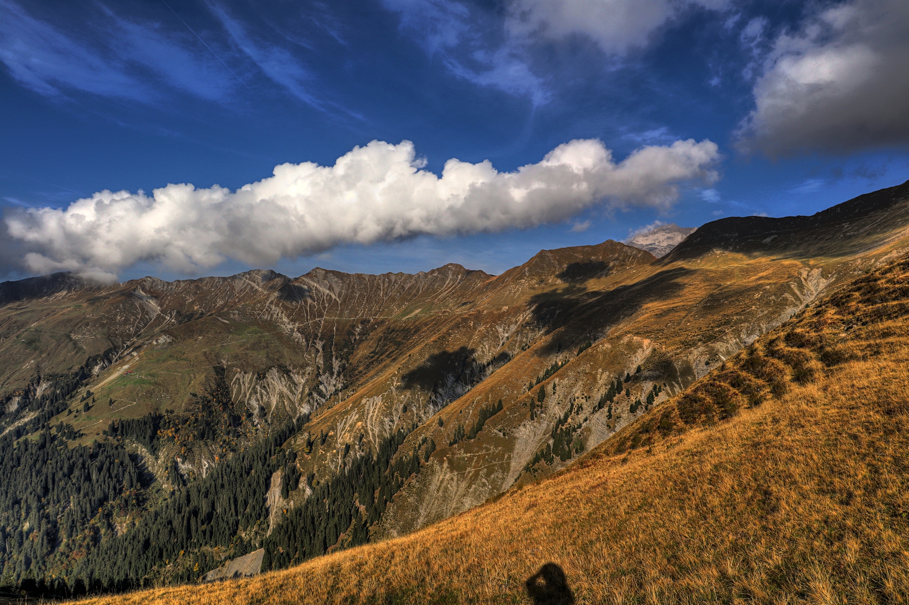 IMG_2544-hdr.jpg