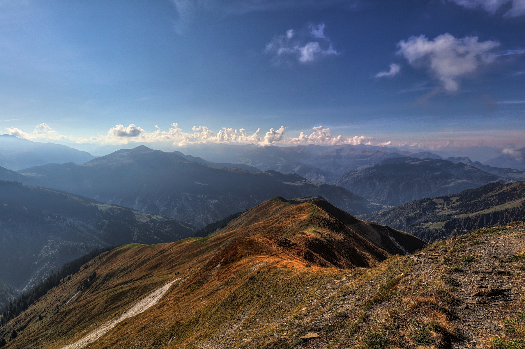 IMG_2553-hdr.jpg