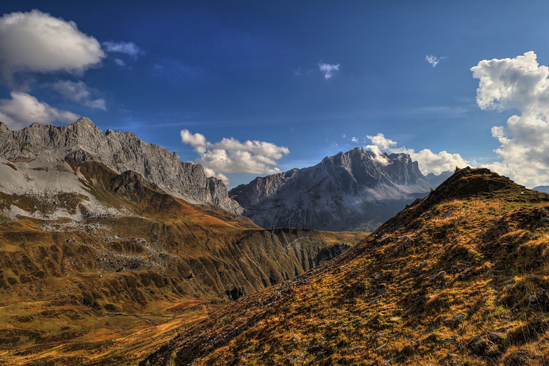 IMG_2595-hdr.jpg