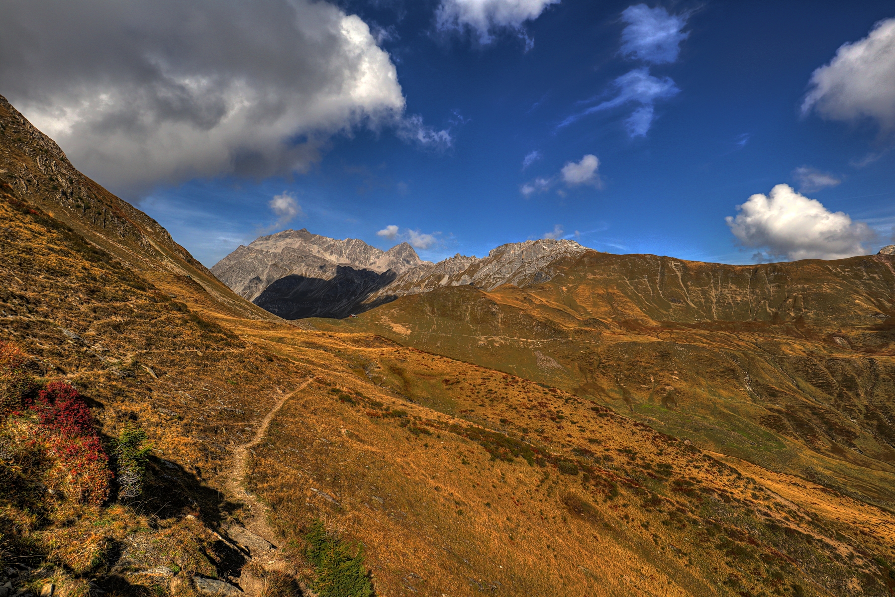 IMG_2598-hdr.jpg