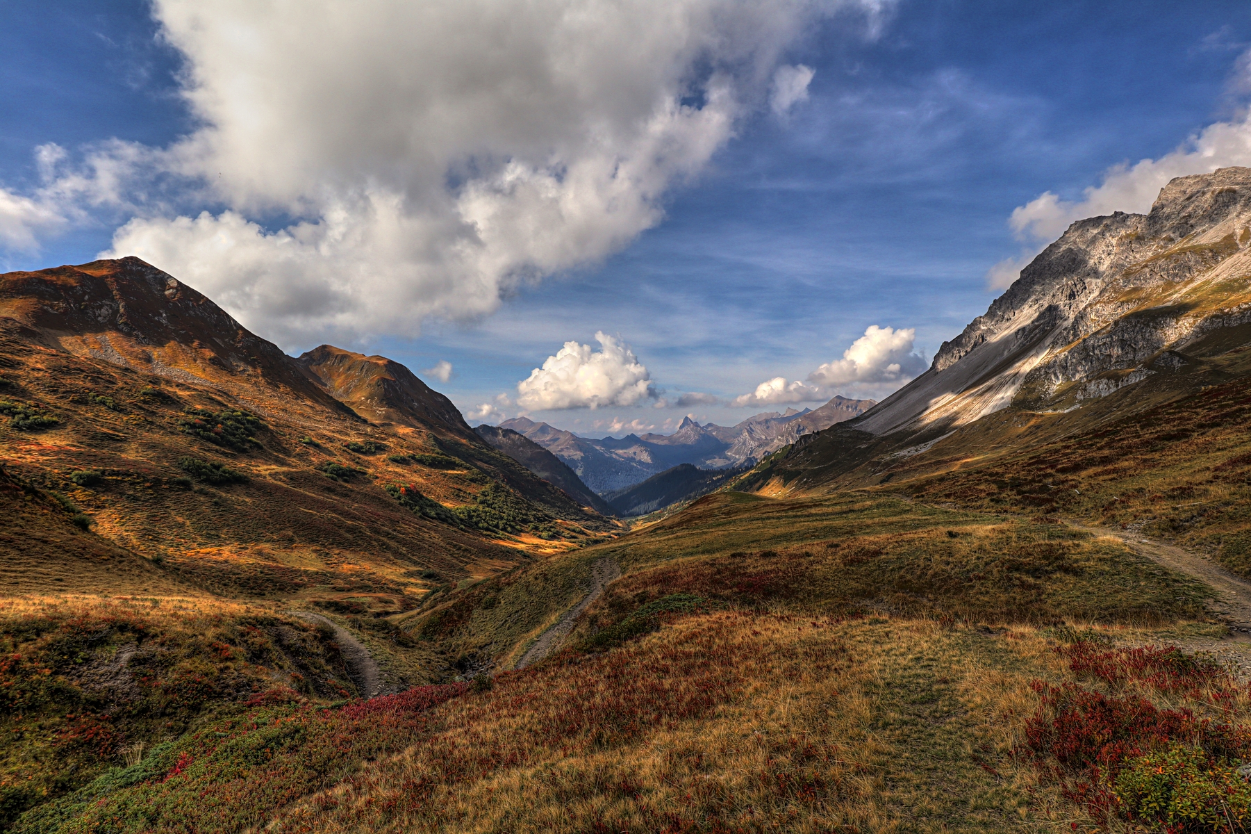 IMG_2610-hdr.jpg