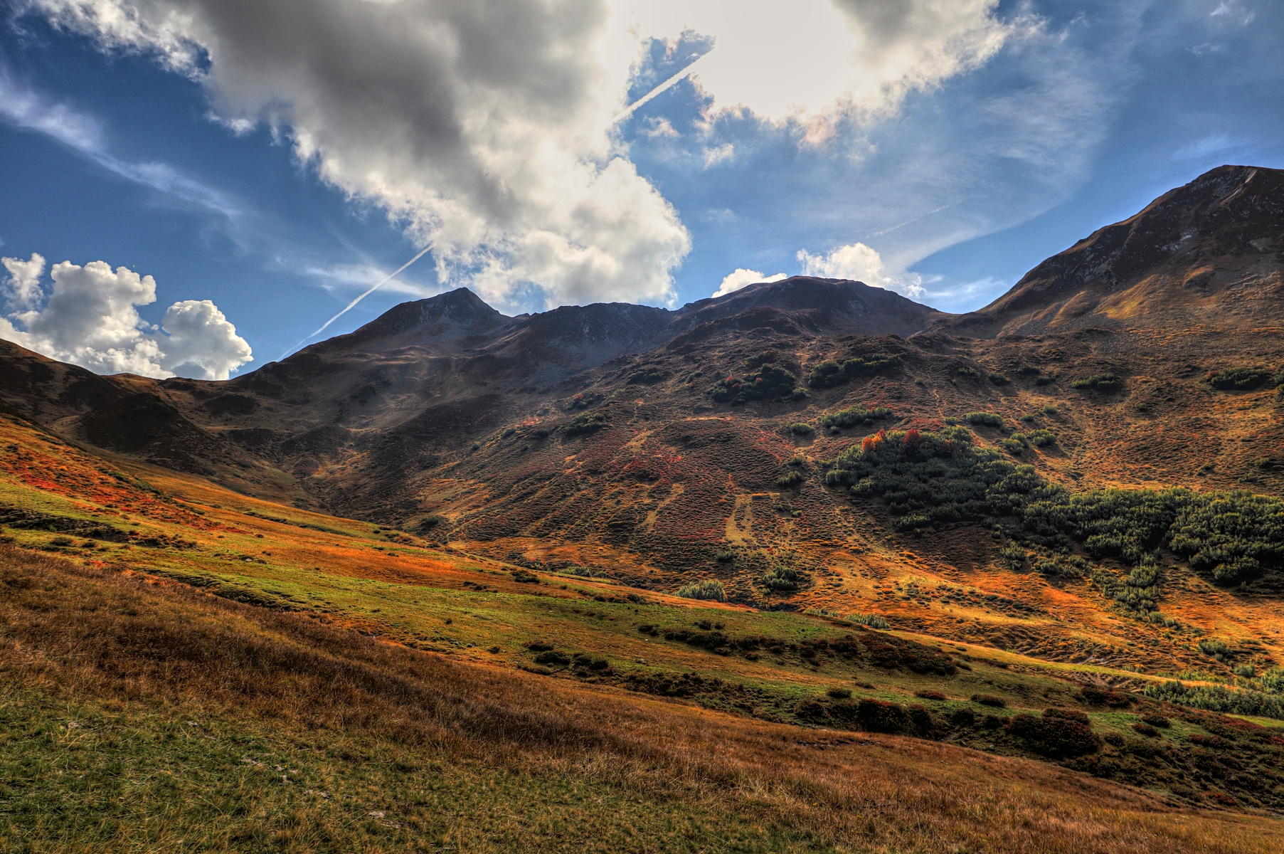 IMG_2613-hdr.jpg