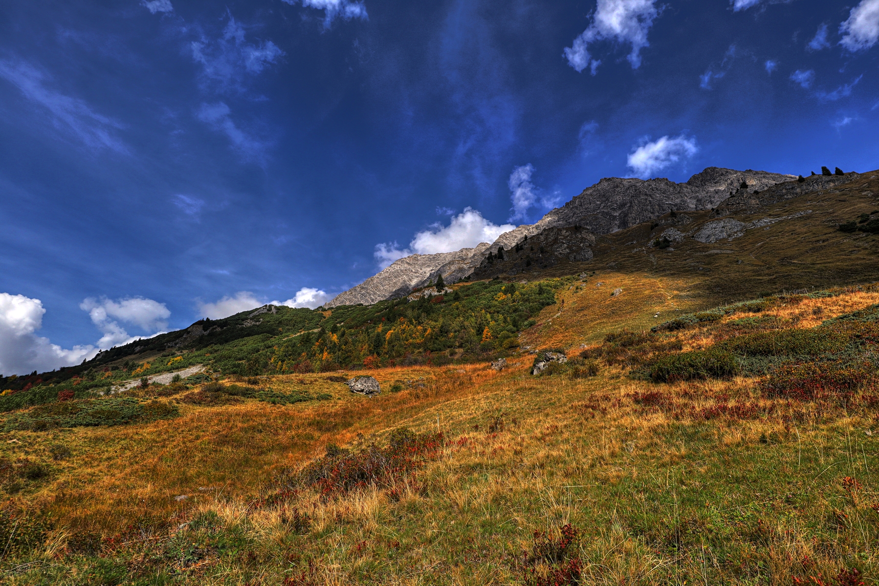 IMG_2628-hdr.jpg